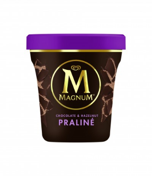 Imagen de MAGNUM PINT PRALINE 440 ML