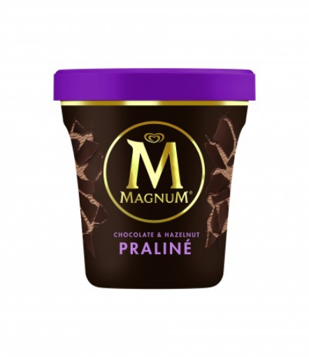 Imagen de MAGNUM PINT PRALINE 440 ML